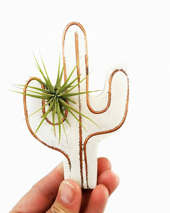 Cactus Decor/Air Plant Holder/Cactus Air Plant Holder/Indoor Planter/Concrete Planter/Copper Decor/Cactus/Air Plant/Cacti