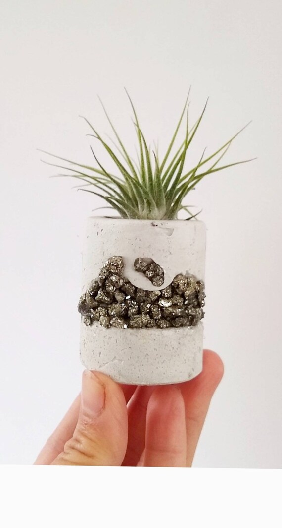 Concrete & Pyrite Air Plant Holder,Modern planter,Cactus Planter,Mini Planter,Indoor Planter, Desk planter,Concrete Home Decor