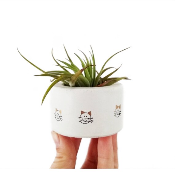 Mini Cat Planter/Air Plant Holder/Cat decor/Cat lover gift/Pet lover gift/kitty/concrete planter/tea light/Ring Holder/concrete planter