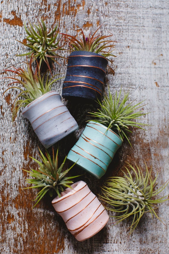 Copper and Concrete Planter/Modern Planter/Mini Air Plant Holder/Office Planter/Succulent Planter/ Indoor Planter/Mint/Dorm decor/Minimalist