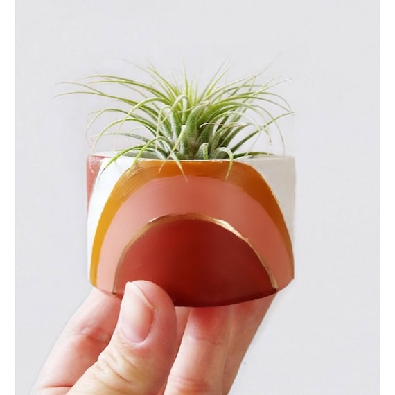 Concrete Air Plant Holder,Votive Vessel, Modern planter, Cactus Planter,Air Plant,Ring Dish,Desk Planter,Rainbow,Mini Planter, fall decor