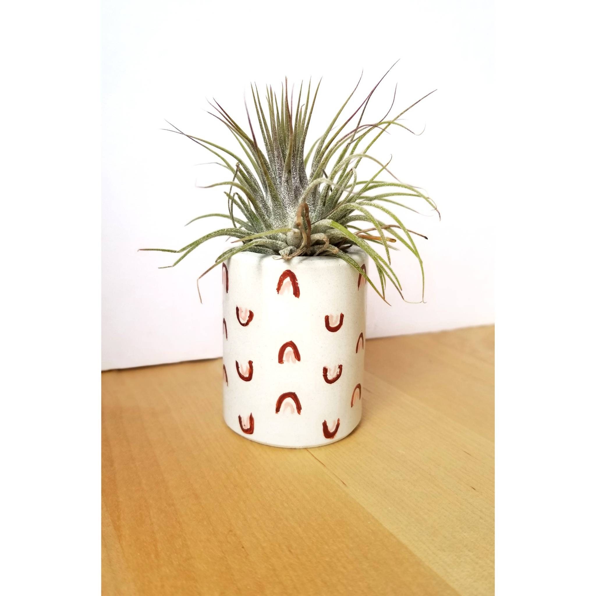 Arches Mini Planter/Modern Planter/Air Plant Holder/Indoor Office