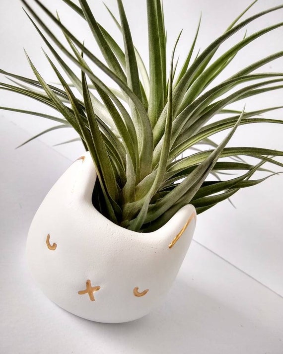 White Concrete Cat Planter/Succulent planter/Air Plant Holder/black Planter/HomenDecor/Office Decor/Housewarming Gift/Cat Mom