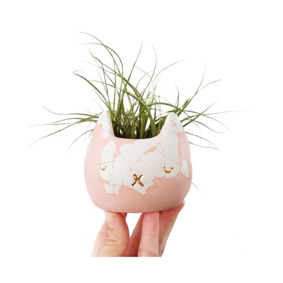 Peach & white Concrete Cat Planter/Succulent planter/Air Plant Holder/White Planter/HomenDecor/Office Decor/Housewarming Gift/Cat Mom/Pets