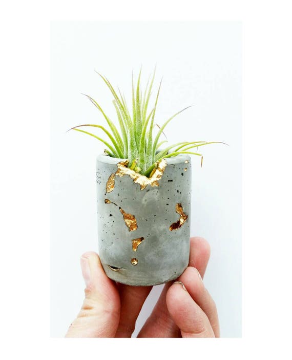 Concrete Gold Filigree Air Plant Holder,Modern Metallic planter,Cactus Planter,Cactus Decor, Succulent Planter, Indoor Planter, Desk planter