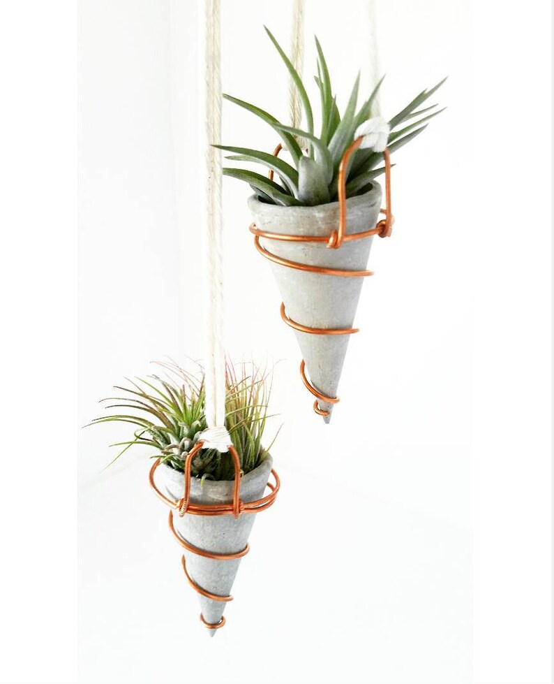 Mini Hanging Planter with Copper Hanger image 6