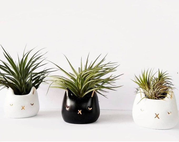 Cat Planter