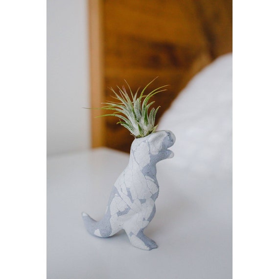 Dinosaur Concrete Planter/Air Plant Holder/Dino/Indoor Planter/Dinosaur decor/Trex/Fun Planter/Office decor/Dorm Decor/Modern Planter