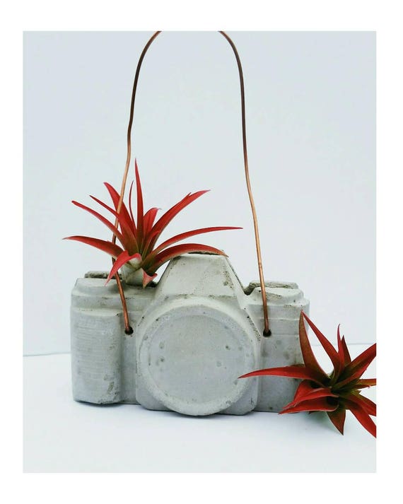 Concrete Camera/Camera Air Plant Holder/Photographer Gift/Air Plant holder/Camera Decor/Concrete Decor/Photographer Lover/Industrial
