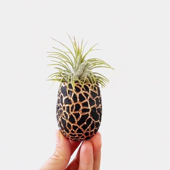 Concrete Planter/Modern Planter/Mini Planter/Pineapple Planter/Indoor Planter/Succulent planter/Pineapple decor/pineapple/Air plant/planter