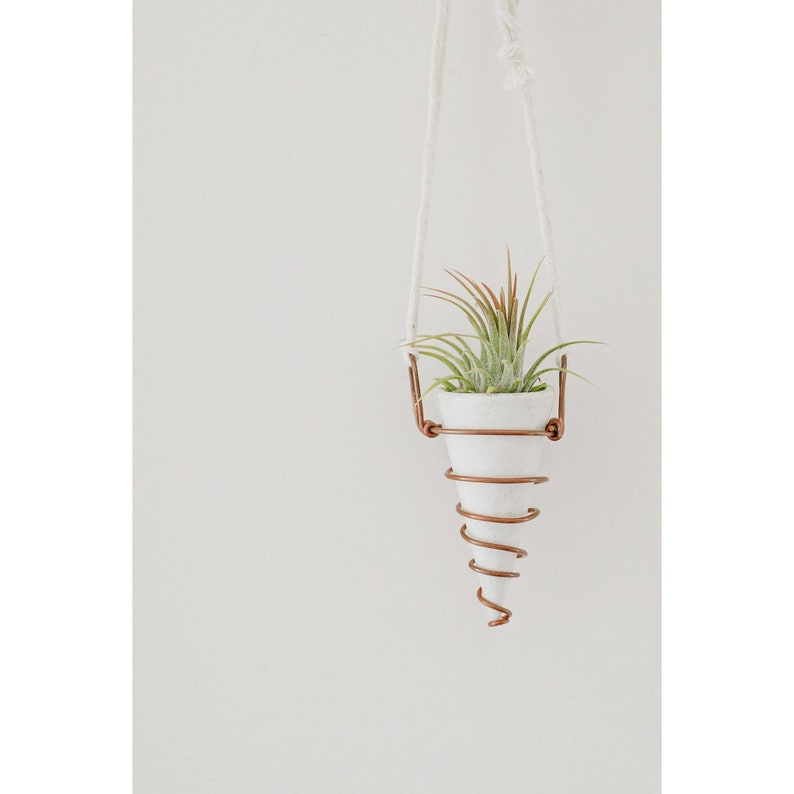 Mini Hanging Planter with Copper Hanger image 2