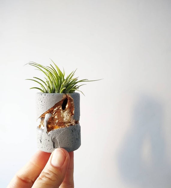 Concrete Gold Leafing Air Plant Holder,Modern Metallic planter,Cactus Planter,Mini Planter,Indoor Planter, Desk planter,Concrete Home Decor