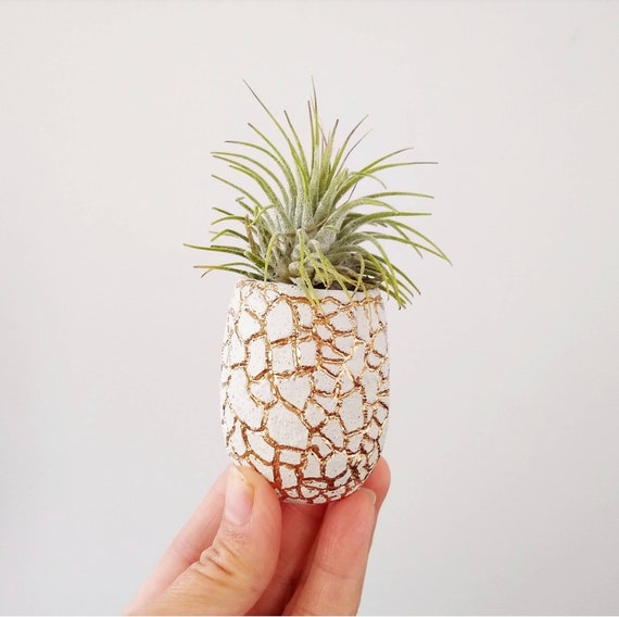 Concrete Planter/Modern Planter/Mini Planter/Pineapple Planter/Indoor Planter/Succulent planter/Pineapple decor/pineapple/Air plant/planter