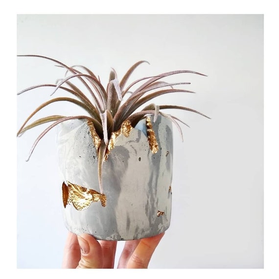 Marbled gray & white concrete planter with gold gilding details