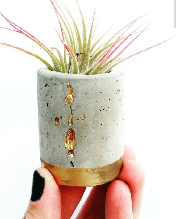 Concrete Gold Filigree Planter,Air Plant Holder, Modern Metallic planter,Succulent Planter, Indoor Planter, Desk planter, Mini Planter