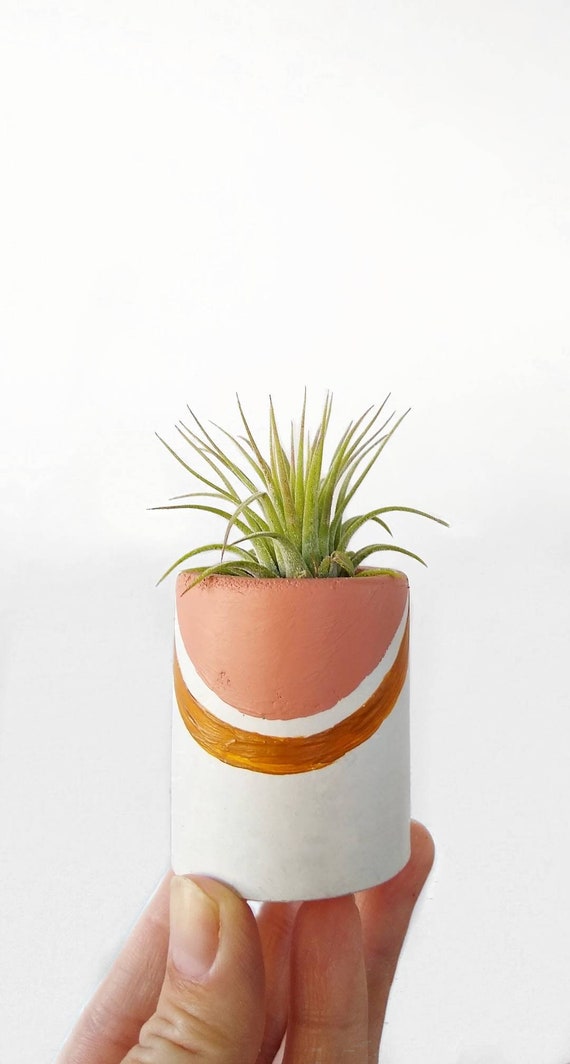 Concrete Air Plant Holder,Modern Metallic planter,Cactus Planter,Cactus Decor, Succulent Planter, Indoor Planter, Desk planter, rainbow