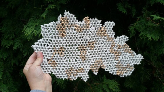 Concrete Honeycomb Wall Art/Honeycomb decor/Industrial design/Concrete Art/Honeycomb/Modern wall art/3d wall art/wall hanging