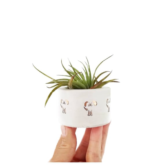Mini Dog Planter/Air Plant Holder/Dog decor/Dog lover gift/Pet lover gift/puppy/concrete planter/tea light/Ring Holder/concrete planter