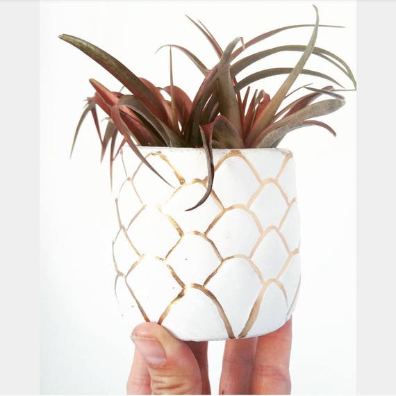 Pineapple Planter/Air Plant Holder/Desk Planter/Pineapple decor/Housewarming Gift/Succulent Planter/Modern Planter/concrete
