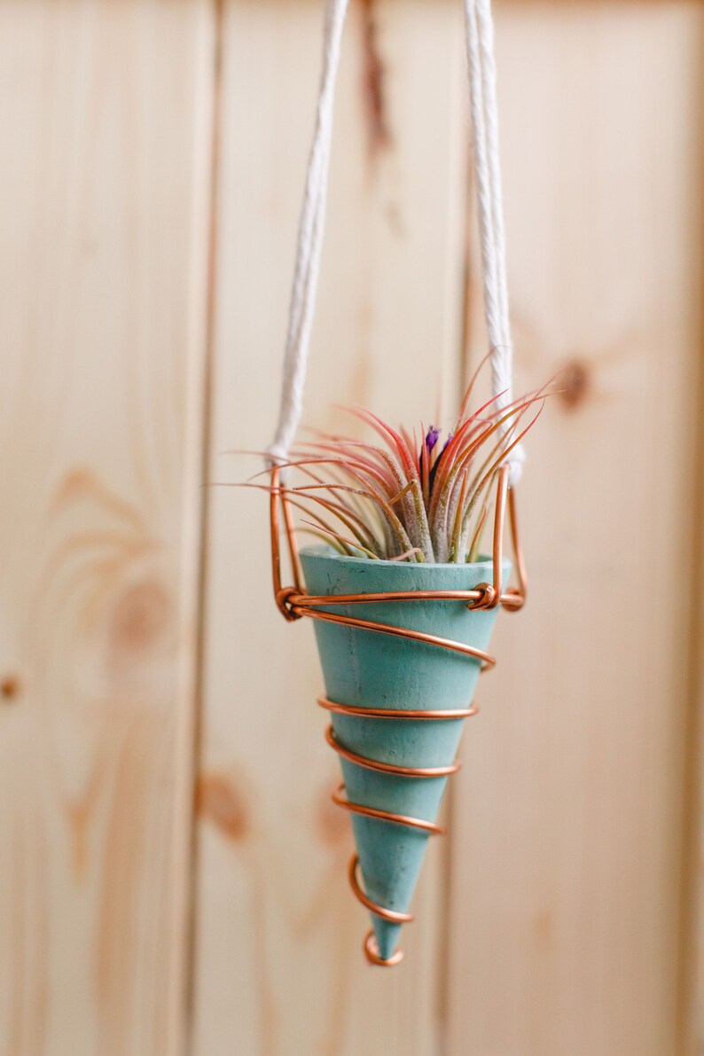 Mini Hanging Planter with Copper Hanger image 8