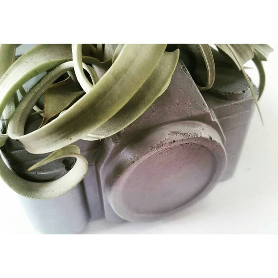 Camera Planter/Concrete Planter/Photographer Gift/Cactus Planter/Camera Decor/Vintage Camera/Retro Decor/Photographer/Photographer Lover