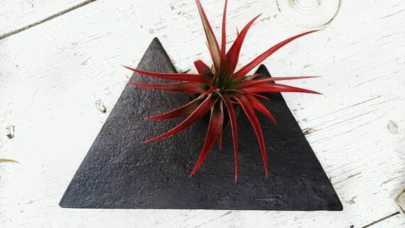Black Concrete/Mountain Decor/Air Planter/Air Plant Holder/Modern Mountain/Concrete Decor/Jewelry Holder/Mountain lover/Industrial decor