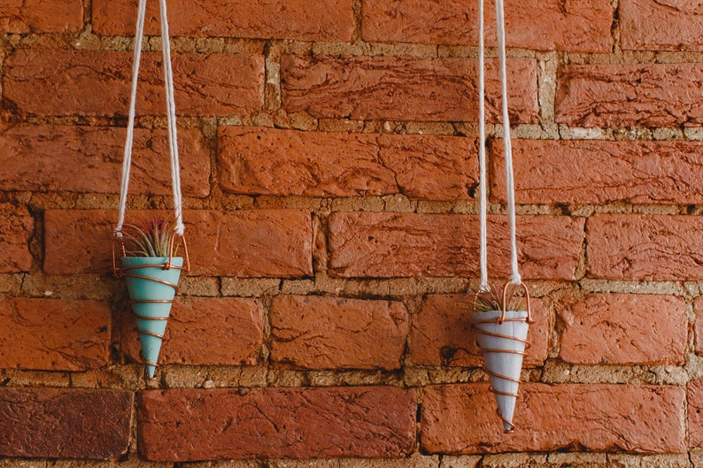 Mini Hanging Planter with Copper Hanger image 10