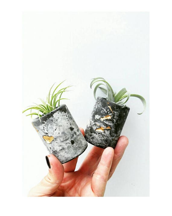 Concrete Gold Leafing Planter,Air Plant Holder, Mini planter,Cactus Decor, Succulent Planter, Indoor Planter,Concrete Home Decor