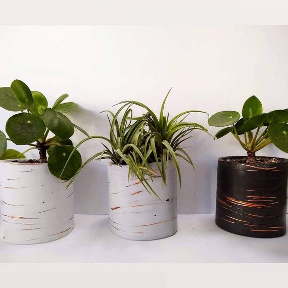 Copper and Concrete Planter/Modern Planter/Industrial style/Office Planter/Succulent Planter/ Indoor Planter/copper accents/Minimalist