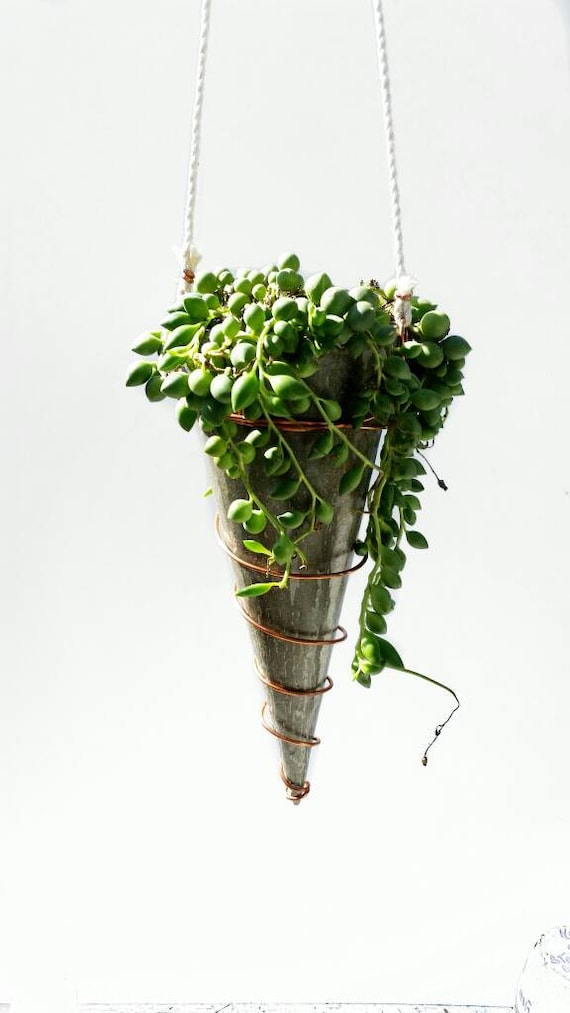 Hanging Planter/Concrete Planter/Housewarming Gift/House Planter/Indoor Planter/Plant Hanger/Plant Lover Gift