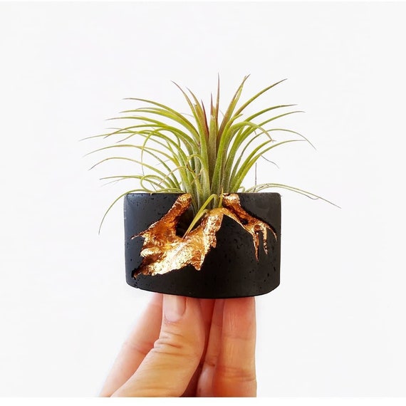Black Concrete Air Plant Holder,Modern planter,Cactus Planter,Air Plant,Ring Dish,Desk Planter, candle holder, Metallic planter,Mini Planter