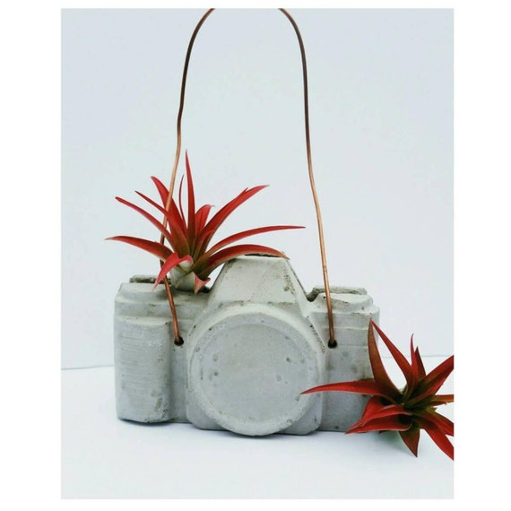 Concrete Camera/Camera Lover/Photographer Gift/Air Plant holder/Camera Decor/Concrete Decor/Photographer Lover/Industrial/photographer gift