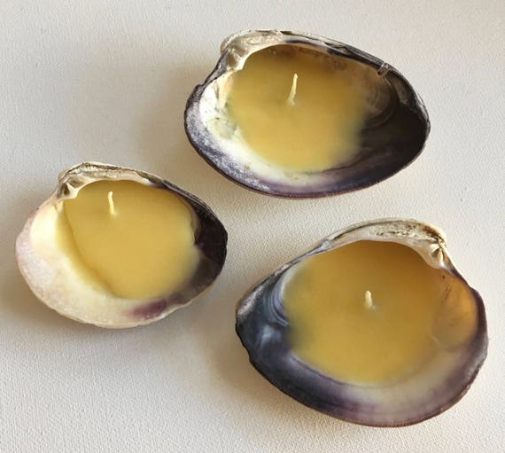 Large Quahog Shell Beeswax Candle Large Clam Shell Beeswax Etsy
