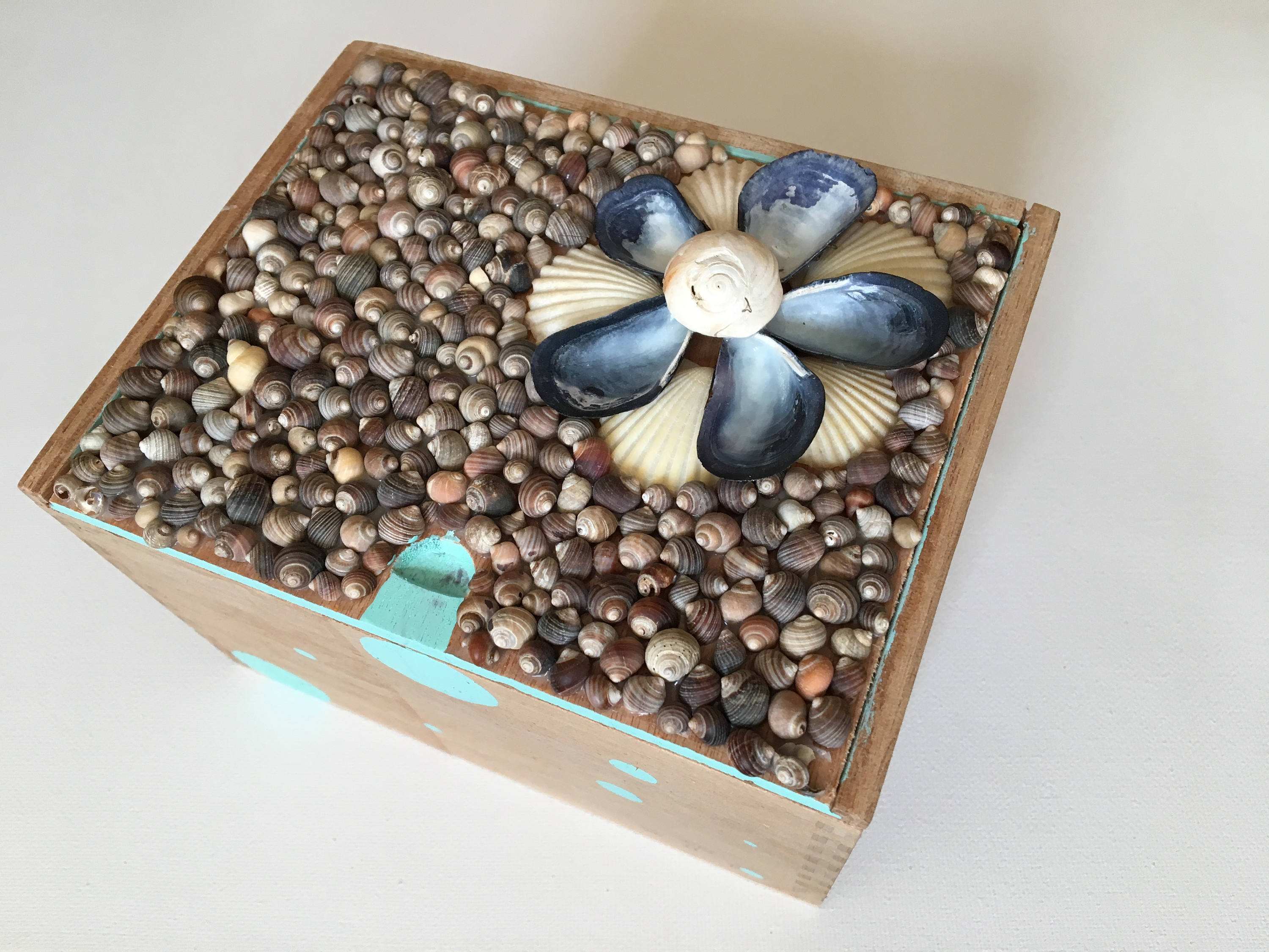 Shell Box Decorated Cigar Box Jewelry Box Etsy