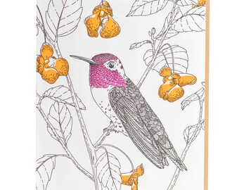 Anna's Hummingbird Letterpress Greeting Card