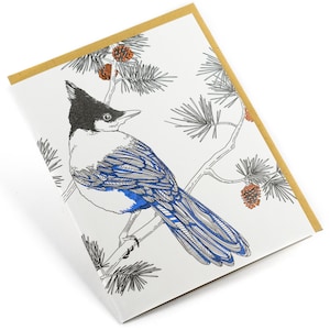 Geai stellaire - Série Nature Bird Carte de vœux