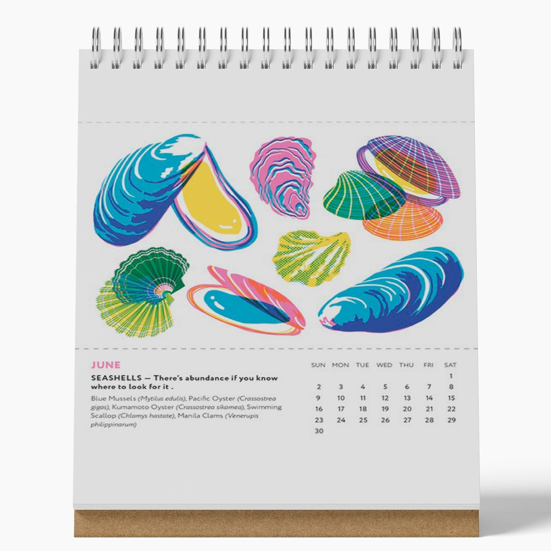 2024 Desk Calendar West Coast Foraging Etsy