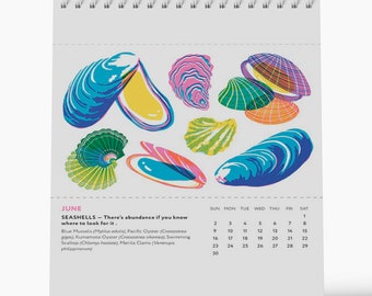 2024 Desk Calendar - West Coast Foraging