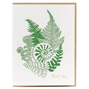 Fuddlehead Fern Letterpress Danksagungskarte - Foraging Serie