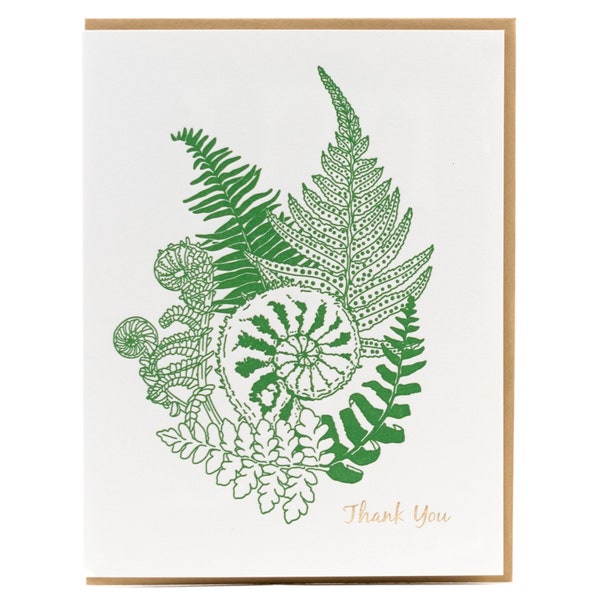 Fiddlehead Fern Letterpress Thank-you Card - Foraging Series