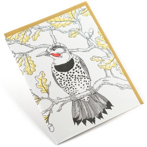 Flicker boréal - Série Nature Bird Carte de vœux