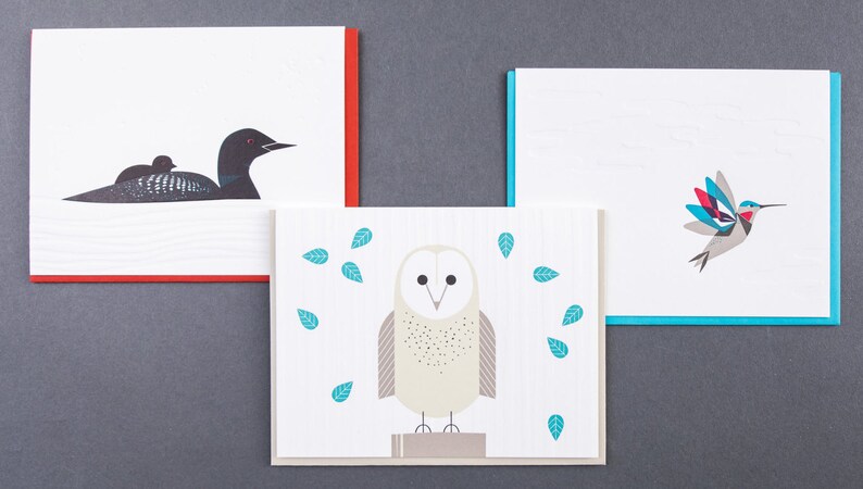 Modern Birds - Folder Set of 6 Letterpress Greeting Cards - Etsy