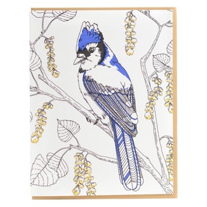 Blue Jay Letterpress Greeting Card - Birds of North America