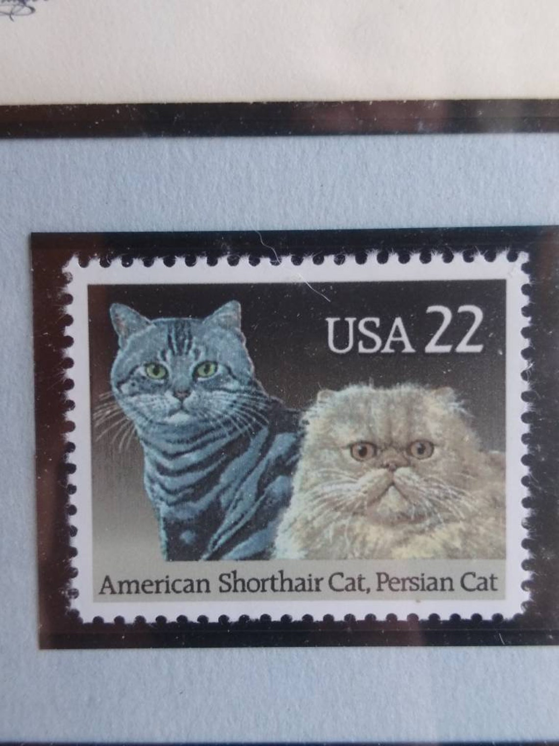 Vintage Cat Postage Stamps USA 22 Cent Framed February 5 1988 Etsy