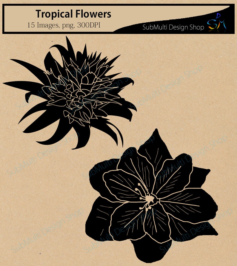 Tropical flowers silhouette svg / HQ / flowers silhouette / vector tropical flowers / all kind of flowers / SVG / PNG / Eps /Dxf / instant image 4