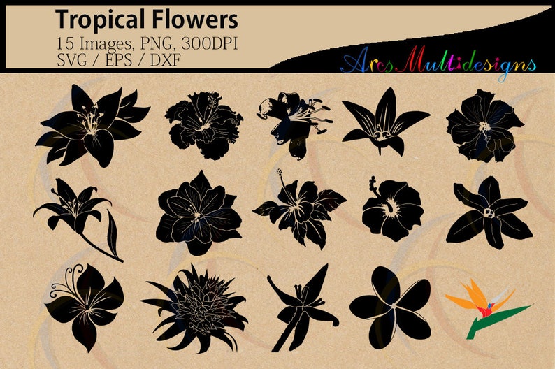 Tropical flowers silhouette svg / HQ / flowers silhouette / vector tropical flowers / all kind of flowers / SVG / PNG / Eps /Dxf / instant image 1