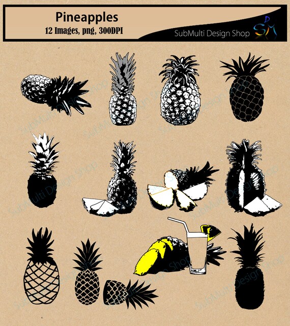 Download Pineapple Silhouette Svg Fruit Silhouette Pineapple Vector Fruit Vector Pine Apple Svg File Svg Png High Quality Scrapbooking By Arcsmultidesignsshop Catch My Party
