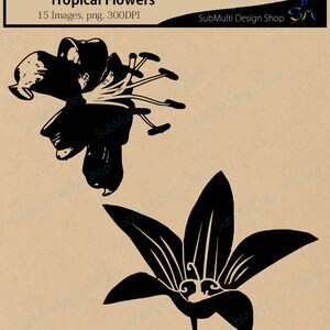 Tropical flowers silhouette svg / HQ / flowers silhouette / vector tropical flowers / all kind of flowers / SVG / PNG / Eps /Dxf / instant image 3