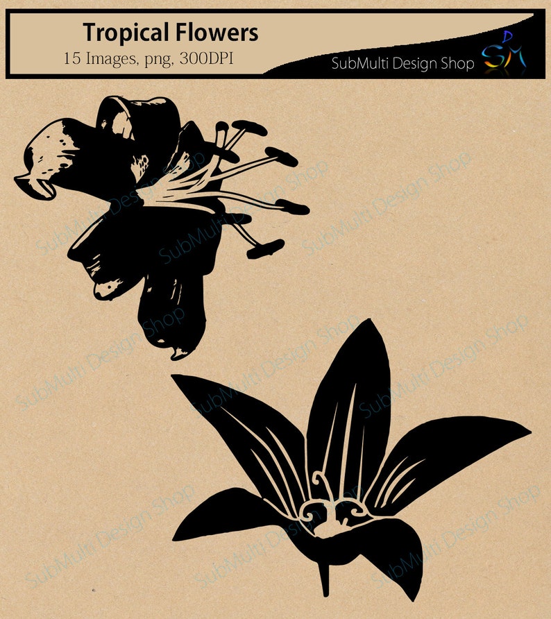 Tropical flowers silhouette svg / HQ / flowers silhouette / vector tropical flowers / all kind of flowers / SVG / PNG / Eps /Dxf / instant image 3