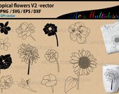 Il_170x135